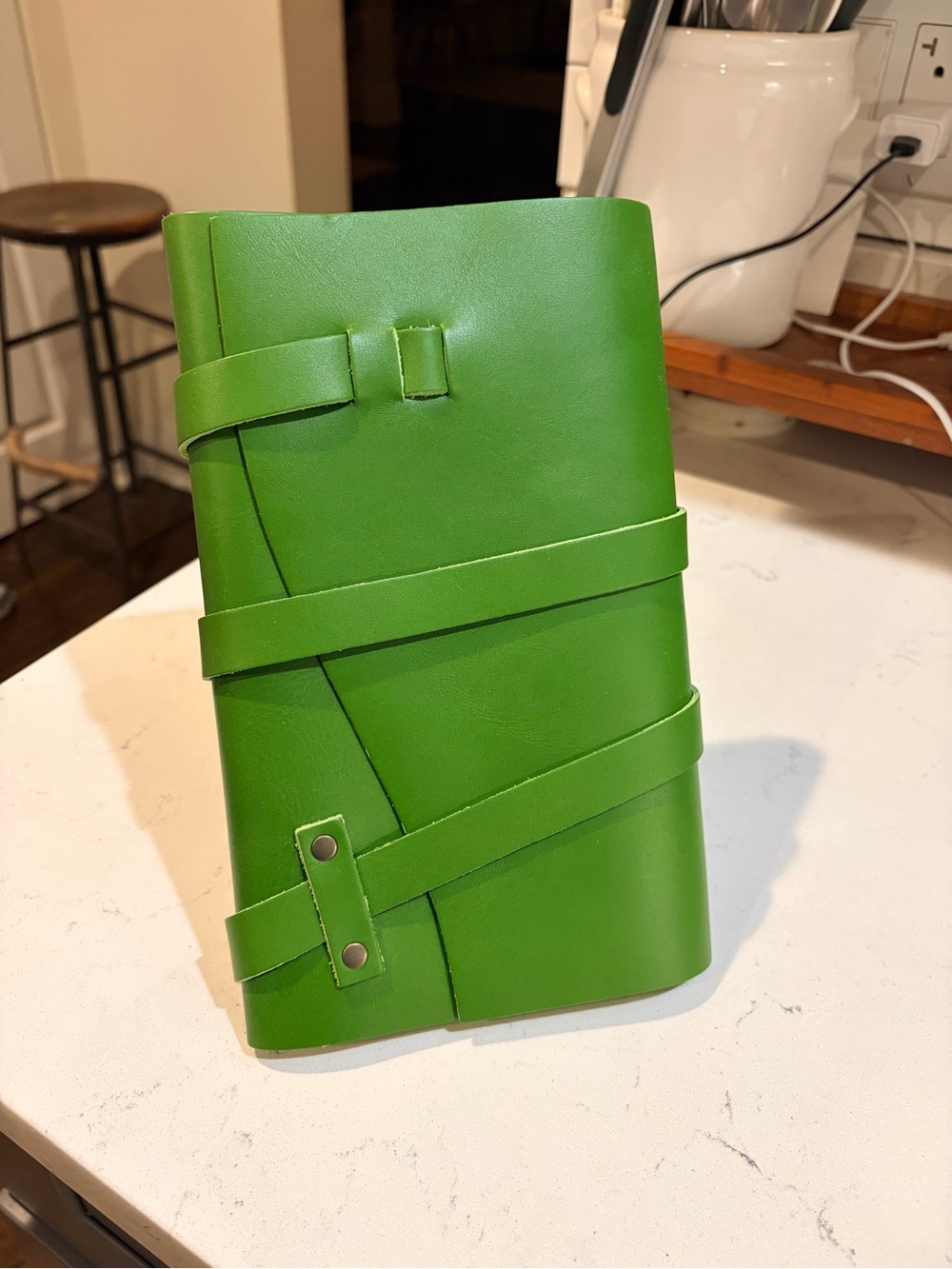 Portland Leather Goods Jolly Green Journal (large) New!